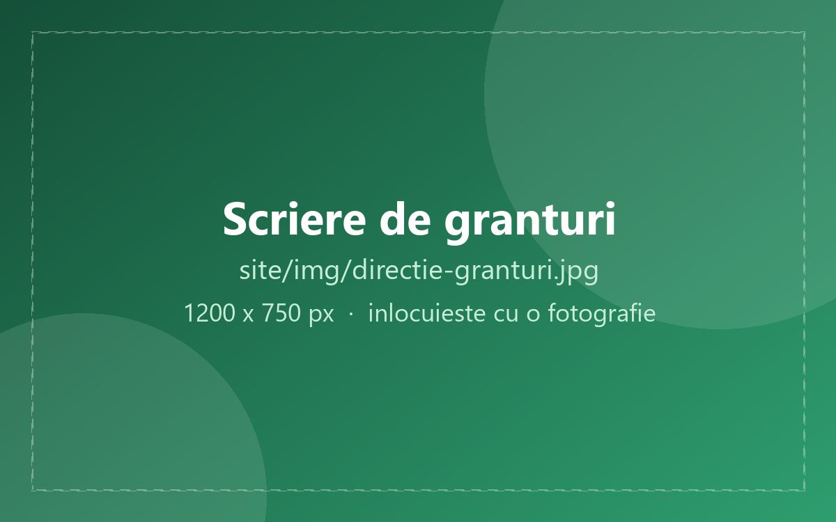 Documentația unei aplicații de grant