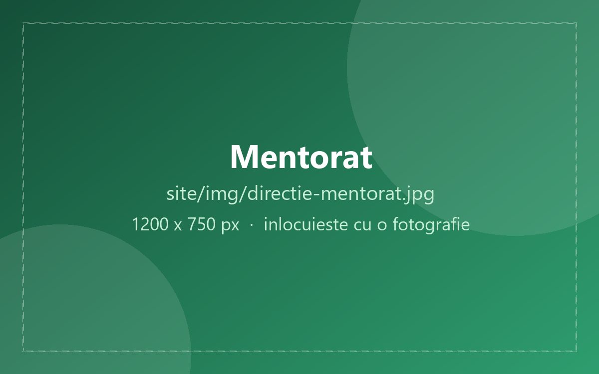 Un mentor lucrează cu un client pe aplicația lui